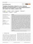 Research paper thumbnail of Candidatus Neoehrlichia chilensis” sp. nov.: Molecular
detection and characterization of a novel Anaplasmataceae in
wild rodents from Valdivia, southern Chile