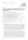 Research paper thumbnail of Leptospira spp. in Domestic Cats from Different Environments: Prevalence of Antibodies and Risk Factors Associated with the Seropositivity