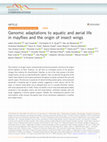 Research paper thumbnail of Genomic adaptations to aquatic and aerial life in mayflies and the origin of insect wings