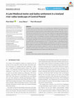 Research paper thumbnail of A Late Medieval motte-and-bailey settlement in a lowland river valley landscape of Central Poland