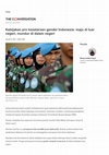 Research paper thumbnail of Kebijakan Pro Kesetaraan Gender Indonesia: Maju di Luar Negeri, Mundur di Dalam Negeri