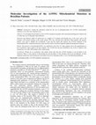 Research paper thumbnail of Molecular Investigation of the A1555G Mitochondrial Mutation in Brazilian Patients