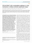 Research paper thumbnail of CD154-CD40 T-cell co-stimulation pathway is a key mechanism in kidney ischemia-reperfusion injury