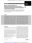 Research paper thumbnail of Effects of Black Raspberry on Dibenzo[a,l]Pyrene Diol Epoxide Induced DNA Adducts, Mutagenesis and Tumorigenesis in the Mouse Oral Cavity