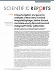 Research paper thumbnail of Characterization and genomic analyses of two newly isolated Morganella phages define distant members among Tevenvirinae and Autographivirinae subfamilies