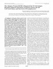 Research paper thumbnail of The Adaptor Protein BLNK Is Required for B Cell Antigen Receptor-induced Activation of Nuclear Factor-kappa B and Cell Cycle Entry and Survival of B Lymphocytes