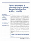 Research paper thumbnail of Factores determinantes de tuberculosis entre los indígenas Warao del Delta Venezolano: genética e inmunidad