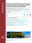 Research paper thumbnail of Electrochemical impedance spectroscopy of human cochleas for modeling cochlear implant electrical stimulus spread