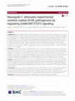 Research paper thumbnail of Neuregulin-1 attenuates experimental cerebral malaria (ECM) pathogenesis by regulating ErbB4/AKT/STAT3 signaling