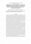 Research paper thumbnail of Mineralogy and Geochemistry of Neogene Sedimentary Rocks from Crete, Greece suitable for the production of Natural Hydraulic Lime Binders