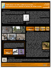 Research paper thumbnail of "Siete vacas y un toro a cargo de un fulano". Fauna identificada en el registro de Santiago del Estero colonial