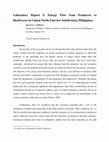 Research paper thumbnail of Energy Flow from Producers to Herbivores in United North Fairview Subdivision, Philippines