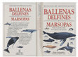 Research paper thumbnail of Libro Zoología Ballenas, Delfines y Marsopas, Manuales de Identificación Mark Carwardine, Martin Camm