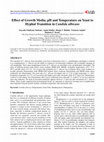 Research paper thumbnail of Effect of Growth Media, pH and Temperature on Yeast to Hyphal Transition in &lt;i&gt;Candida albicans&lt;/i&gt