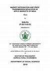 Research paper thumbnail of Market Integration and Price Transmission Behaviour in Apple Markets of India