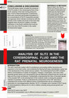 Research paper thumbnail of ANALYSIS OF SLIT2 IN THE CEREBROSPINAL FLUID AMID THE RAT PRENATAL NEUROGENESIS