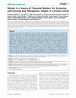 Research paper thumbnail of Mitosis Is a Source of Potential Markers for Screening and Survival and Therapeutic Targets in Cervical Cancer