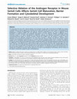 Research paper thumbnail of Selective Ablation of the Androgen Receptor in Mouse Sertoli Cells Affects Sertoli Cell Maturation, Barrier Formation and Cytoskeletal Development