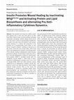 Research paper thumbnail of Insulin Promotes Wound Healing by Inactivating NFkβP50/P65 and Activating Protein and Lipid Biosynthesis and alternating Pro/Anti-inflammatory Cytokines Dynamics