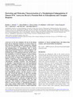 Research paper thumbnail of Derivation and Molecular Characterization of a Morphological Subpopulation of Human iPSC Astrocytes Reveal a Potential Role in Schizophrenia and Clozapine Response