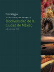 Research paper thumbnail of Las aves del humedal de Tláhuac