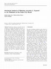 Research paper thumbnail of Structural analysis of Tillandsia usneoides L. exposed to air pollutants in São Paulo CityBrazil