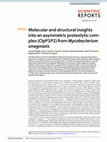 Research paper thumbnail of Molecular and structural insights into an asymmetric proteolytic complex (ClpP1P2) from Mycobacterium smegmatis