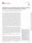 Research paper thumbnail of Identification of the Thioredoxin Partner of Vitamin K Epoxide Reductase in Mycobacterial Disulfide Bond Formation