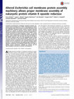 Research paper thumbnail of Altered Escherichia coli membrane protein assembly machinery allows proper membrane assembly of eukaryotic protein vitamin K epoxide reductase