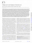 Research paper thumbnail of Folding LacZ in the periplasm of Escherichia coli