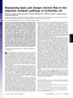 Research paper thumbnail of Repurposing lipoic acid changes electron flow in two important metabolic pathways of Escherichia coli