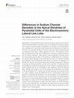 Research paper thumbnail of Differences in Sodium Channel Densities in the Apical Dendrites of Pyramidal Cells of the Electrosensory Lateral Line Lobe