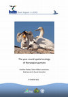 Research paper thumbnail of The year-round spatial ecology of Norwegian gannets