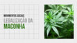 Research paper thumbnail of Legalização da Maconha