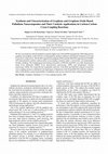 Research paper thumbnail of Synthesis and Characterization of Graphene and Graphene Oxide Based Palladium Nanocomposites and Their Catalytic Applications in Carbon-Carbon Cross-Coupling Reactions