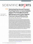 Research paper thumbnail of Swimming Exercise and Transient Food Deprivation in Caenorhabditis elegans Promote Mitochondrial Maintenance and Protect Against Chemical-Induced Mitotoxicity