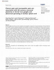 Research paper thumbnail of Cancer pain and neuropathic pain are associated with Aβ sensory neuronal plasticity in dorsal root ganglia and abnormal sprouting in lumbar spinal cord