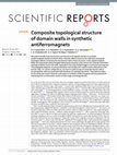 Research paper thumbnail of Composite topological structure of domain walls in synthetic antiferromagnets