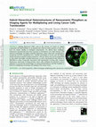 Research paper thumbnail of Hybrid Hierarchical Heterostructures of Nanoceramic Phosphors as Imaging Agents for Multiplexing and Living Cancer Cells Translocation