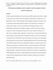 Research paper thumbnail of LGBT people and suicidality in youth: A qualitative study of perceptions of risk and protective circumstances