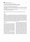 Research paper thumbnail of Experimental interspecific hybridization in Daphnia