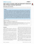 Research paper thumbnail of Islet1 and Its Co-Factor Ldb1 Are Expressed in Quiescent Cells of Mouse Intestinal Epithelium