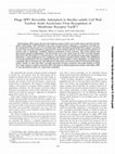 Research paper thumbnail of Phage SPP1 Reversible Adsorption to Bacillus subtilis Cell Wall Teichoic Acids Accelerates Virus Recognition of Membrane Receptor YueB