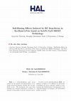 Research paper thumbnail of Self-biasing effects induced by RF step-stress in Ka-band LNAs based on InAlN/GaN HEMT technology