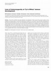 Research paper thumbnail of Loss of heterozygosity at 7p in Wilms' tumour development