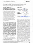 Research paper thumbnail of Binding of collagen gene products with titanium oxide