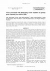 Research paper thumbnail of Virus associated with thickening of the cladodes of prickly pear (Opuntia ficus-indica Mill.)