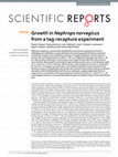 Research paper thumbnail of Growth in Nephrops norvegicus from a tag-recapture experiment