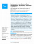 Research paper thumbnail of Indomethacin reproducibly induces metamorphosis in Cassiopea xamachana scyphistomae