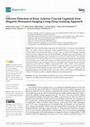 Research paper thumbnail of Efficient Detection of Knee Anterior Cruciate Ligament from Magnetic Resonance Imaging Using Deep Learning Approach